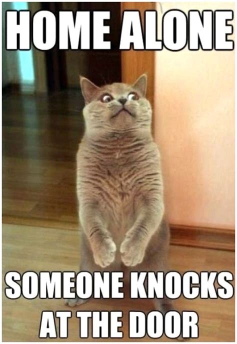 Funny Appropriate Memes