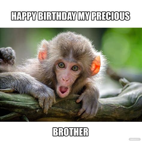Funny Birthday Meme For Brother