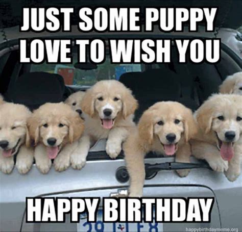 Funny Birthday Memes Dogs