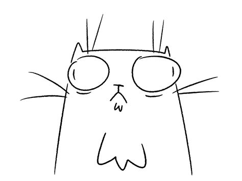 Funny Cat Animations