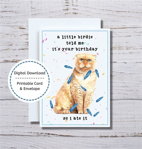 Funny Cat Birthday Card