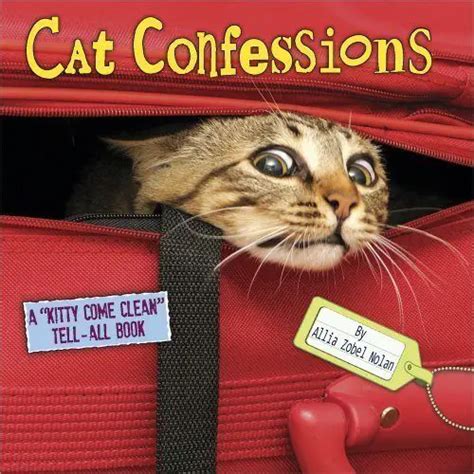 Funny Cat Books