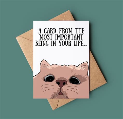 Funny Cat Cards