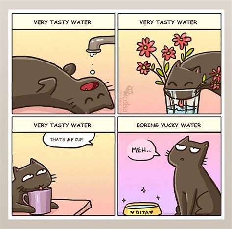 Funny Cat Comics Strips