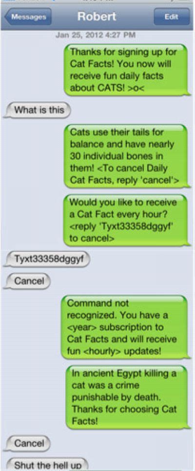 Funny Cat Facts Text