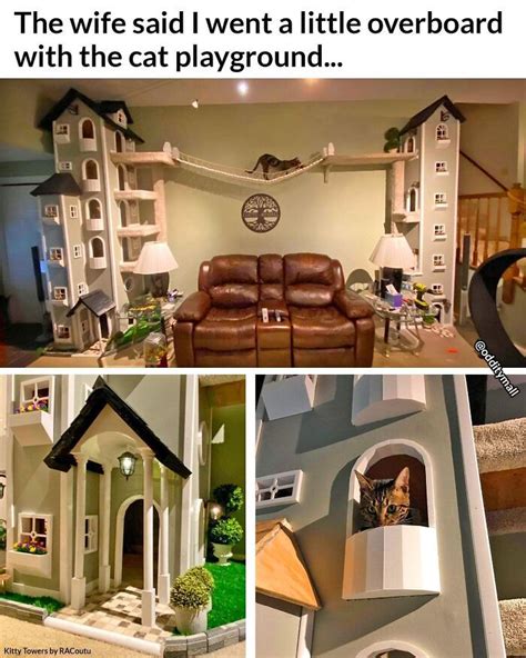 Funny Cat House