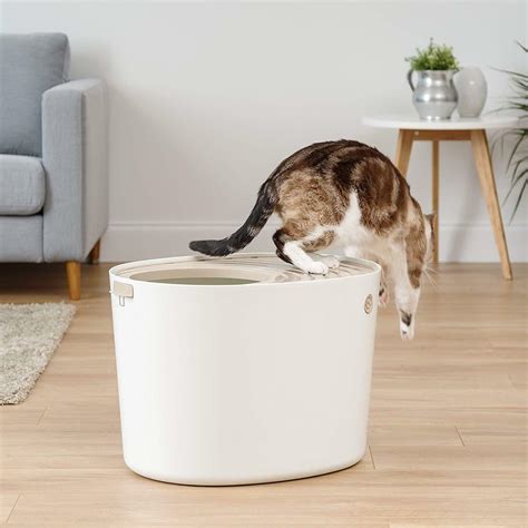 Funny Cat Litter Box