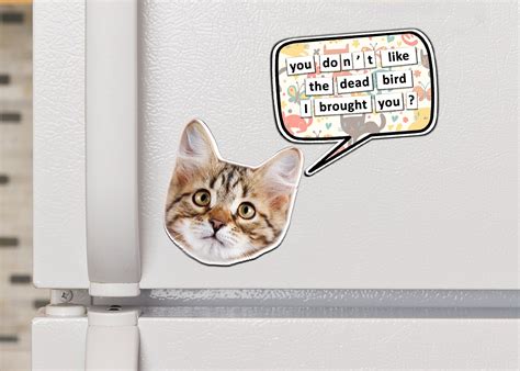 Funny Cat Magnets