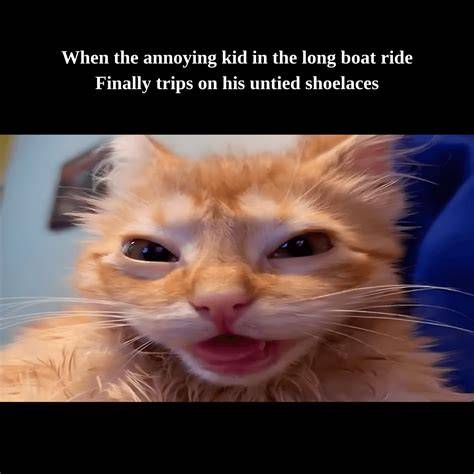 Funny Cat Meme Maker