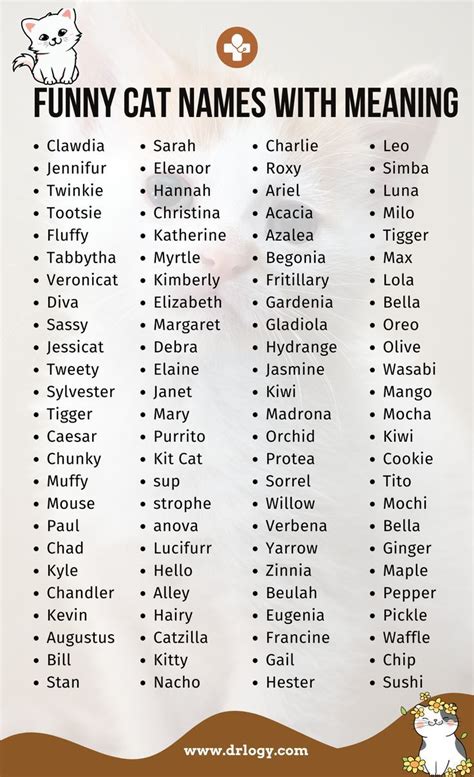Funny Cat Names Female