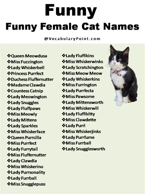 Funny Cat Names For Girls