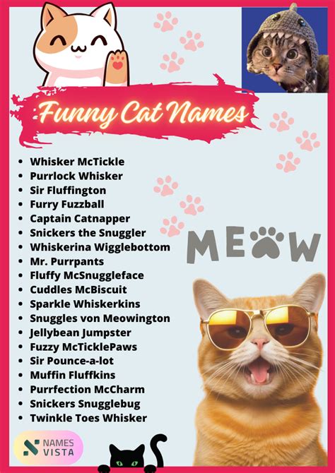 Funny Cat Names That Start With Mr