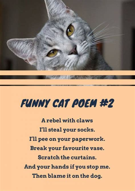 Funny Cat Poems