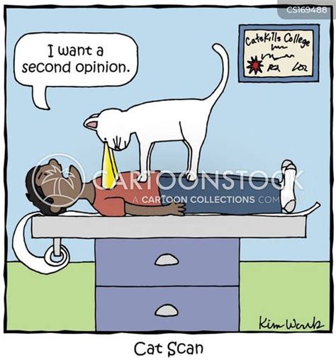 Funny Cat Scan