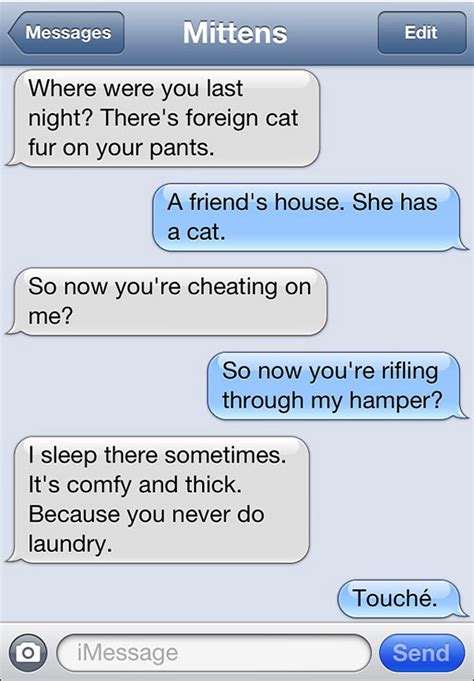 Funny Cat Text Messages