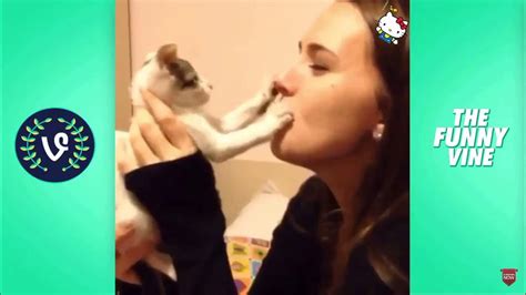 Funny Cat Vine Compilation