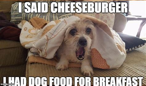 Funny Cheeseburger Dog Meme