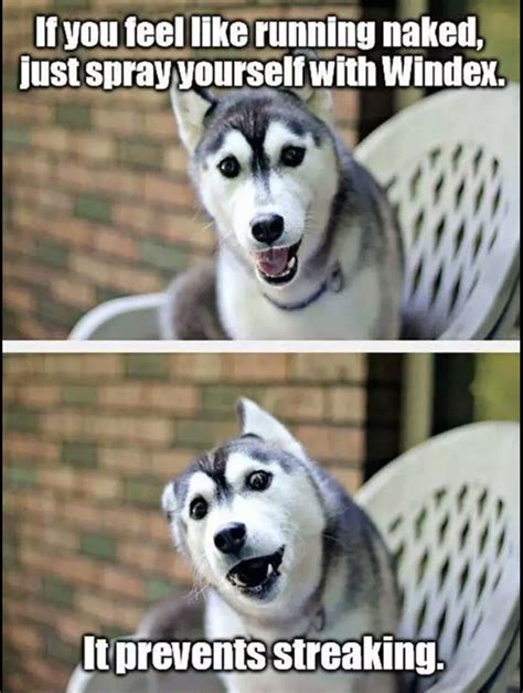 Funny Clean Dad Memes