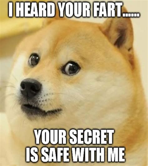 Funny Clean Doge Memes
