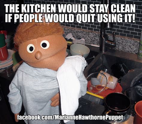 Funny Clean Kitchen Memes