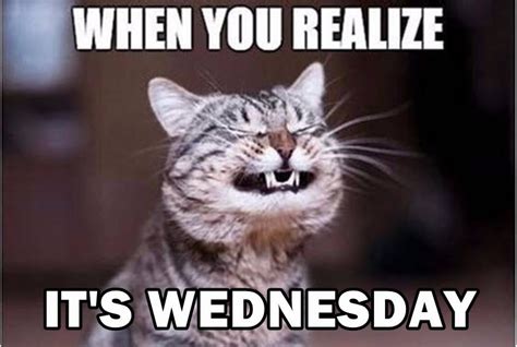 Funny Clean Wednesday Memes