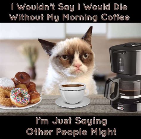 Funny Coffee Cat Meme