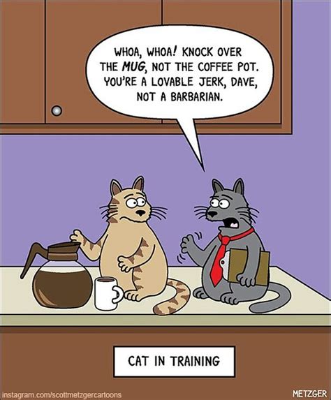 Funny Comics Cat Meme