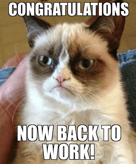 Funny Congratulations Meme Work
