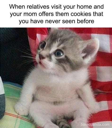 Funny Crazy Meme