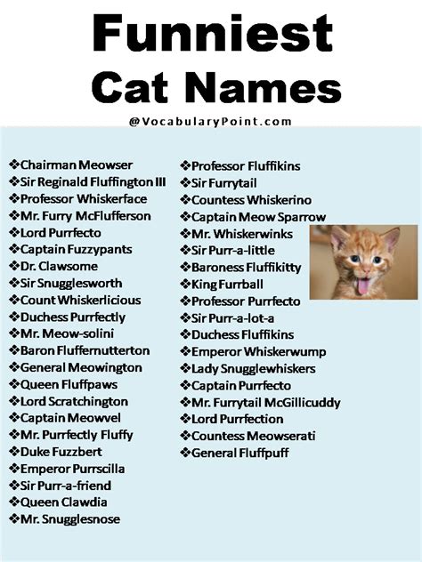 Funny Cute Cat Names