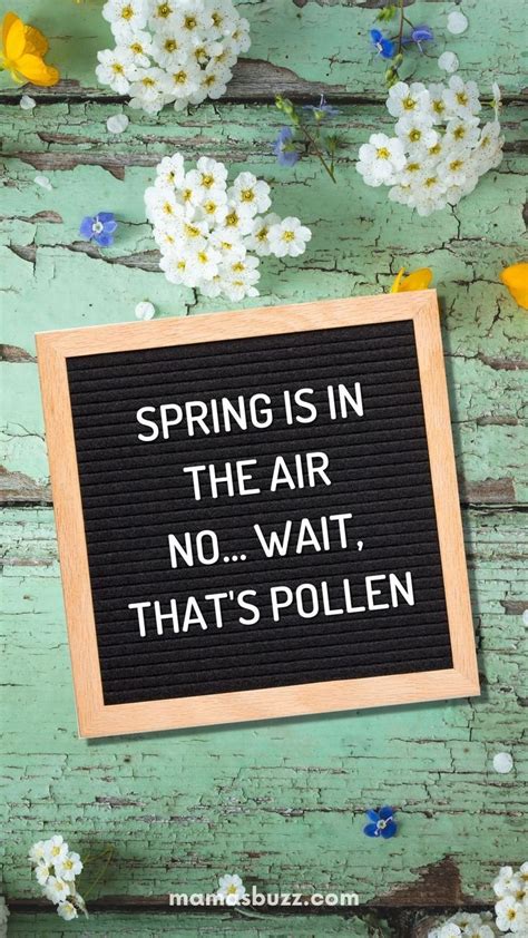Funny Cute Spring Quotes