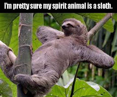 Funny Dirty Sloth Memes