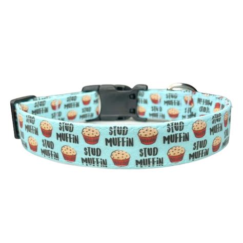 Funny Dog Collars