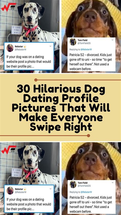 Funny Dog Dating Profiles