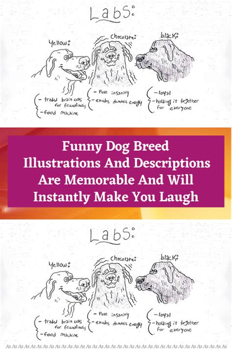 Funny Dog Descriptions