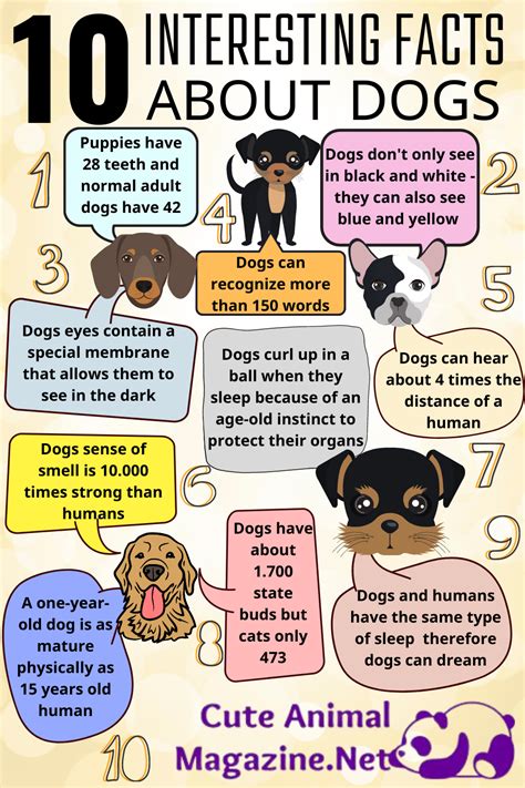 Funny Dog Facts