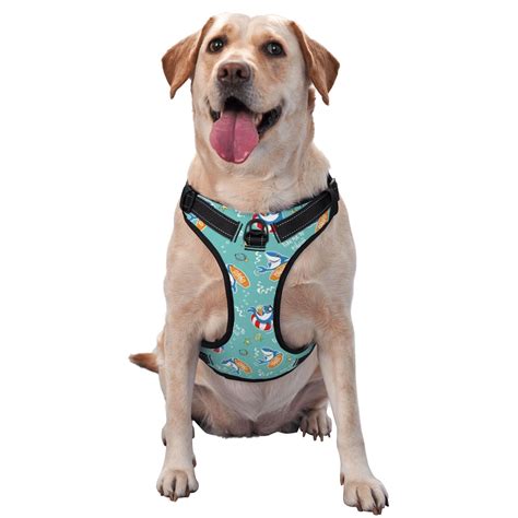 Funny Dog Harness