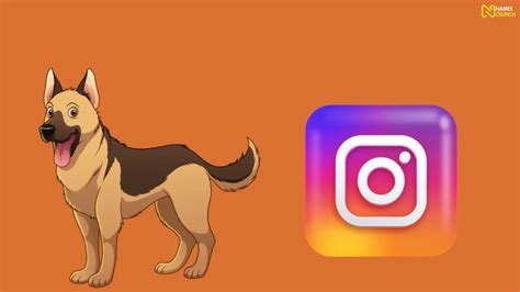 Funny Dog Instagram Names