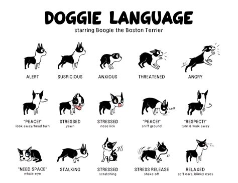 Funny Dog Language