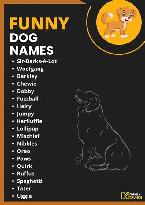 Funny Dog Names 3
