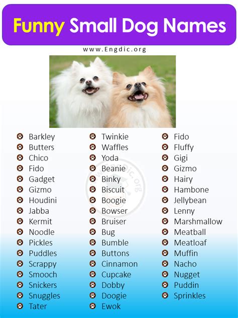 Funny Dog Names Male