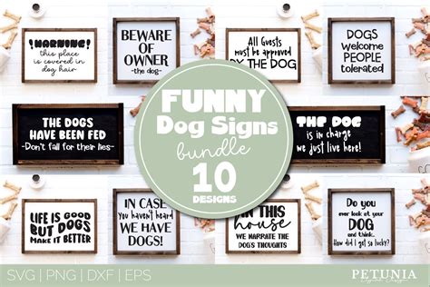 Funny Dog Signs Viral Fancy