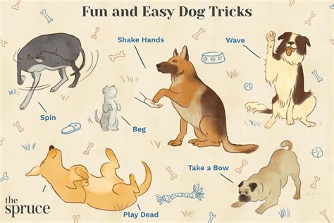 Funny Dog Tricks