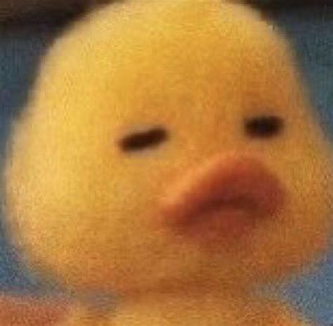Funny Duck Face Meme