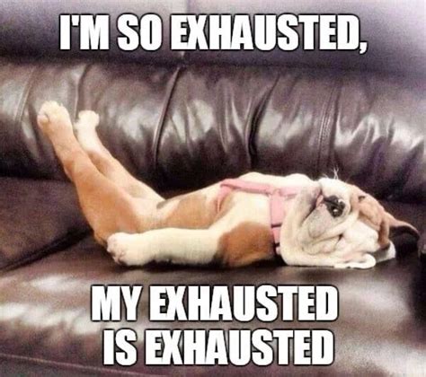 Funny Exhausted Meme