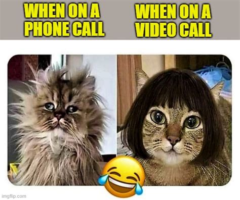 Funny Facetime Meme