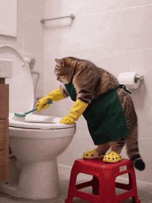Funny Gifs Clean