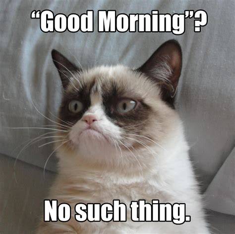 Funny Grumpy Cat Sayings