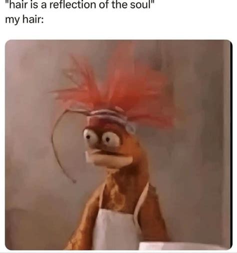 Funny Hair Memes