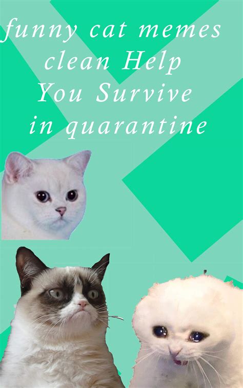 Funny Images Cat Memes Clean